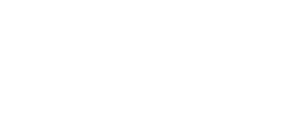 logo light 2